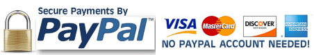 PayPal Logo